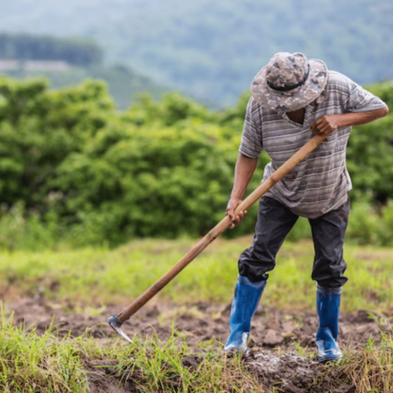 reforma agraria agricultor lavrando terra