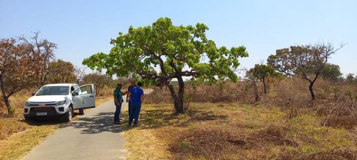 parque sucupira cegafi compensa carbono