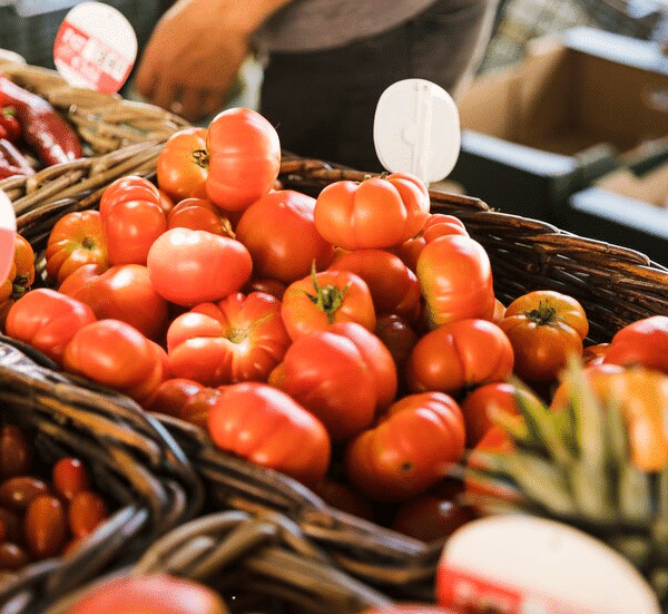 legumes expostos feira agroecologia